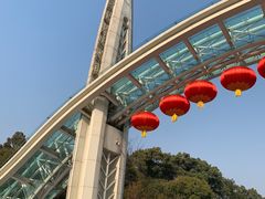 -南山植物园