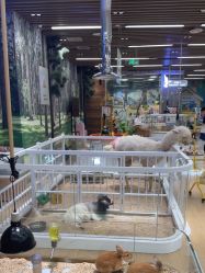 -小象动悟公园(龙湖亦庄天街店)