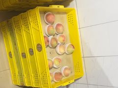 -老袁家蜜桃农场·阳山水蜜桃