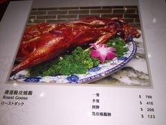 -海王老记