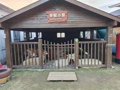 -太阳岛度假酒店