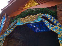 -西双版纳原始森林公园