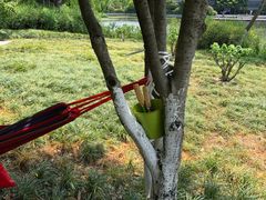 -杭州城北体育公园