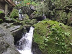 -藏龙百瀑风景区