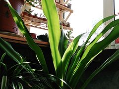 -全聚德(长江路店)