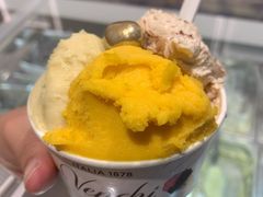 -VENCHI 闻绮(上海佛罗伦萨小镇店)