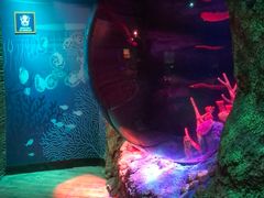 -沈阳海洋探索中心