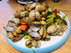 花蛤-蟹老板的海鲜