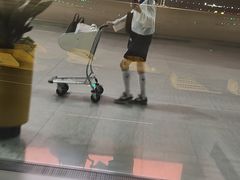 -青岛胶东国际机场