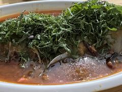 -老字号怡玺·藿香雅鱼(20年雅安店)