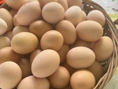 -马陆小张葡萄园农家乐