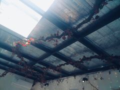-外婆船宴餐厅·外婆喊你回家吃饭