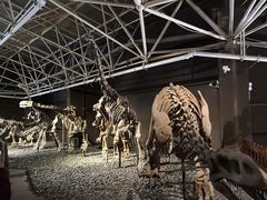 -世界恐龙谷景区