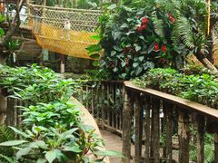 -正佳雨林生态植物园