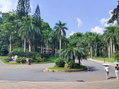 -深圳仙湖植物园