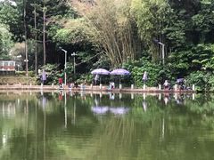 -人民公园(罗湖区)