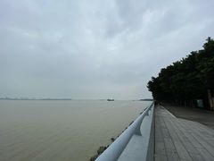-大湾区中央湿地公园