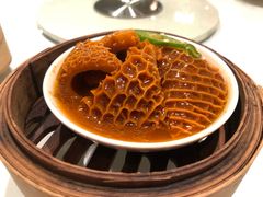 -东海海鲜酒家(中信广场店)