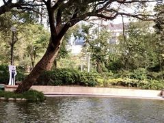 -九龙公园