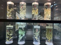 -广东中医药博物馆
