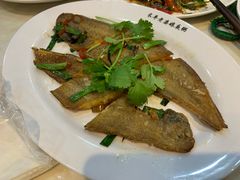 -长平老姿娘夜粥(平东一街店)