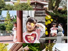 -莆田南少林寺