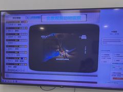 -北京观赏动物医院·24小时大型综合·猫专科·异宠专科