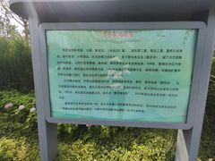 -莲花池公园