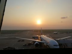 -上海浦东国际机场-T2航站楼