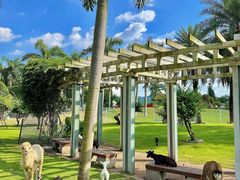 -东南花都花博园