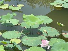 -福州大学(旗山校区)