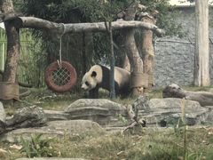 -武汉动物园