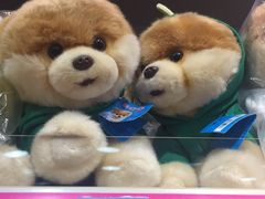 -TOYSRUS玩具反斗城(无锡荟聚购物中心店)