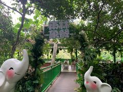 -野象谷景区