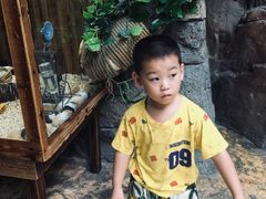 -南昌融创海世界