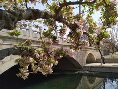 -元大都城垣遗址公园