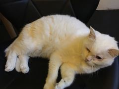 -Doors独立剧情密室(东门分店)