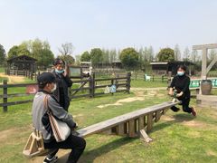-田园东方蜜桃村的田野营地