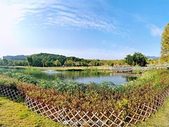 -牛岗山公园