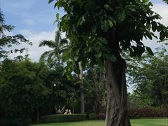 -三亚凤凰水城凯莱度假酒店