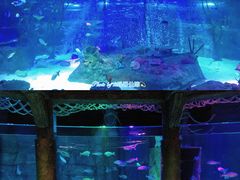 -沈阳海洋探索中心