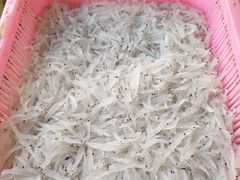 -南沙十九涌渔人码头-南门