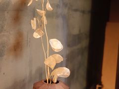 -梵几(东信·和创园店)