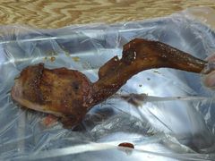 -赵元章肉骨烧(山塘街店)