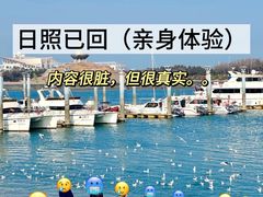 -日照海滨国家森林公园