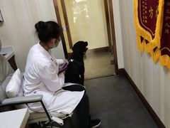 -宠爱国际动物医院· 猫科· 外科·中兽医(长白店)