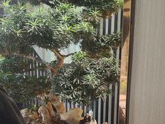 -忆江南·临江鱼馆