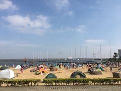 -碧海金沙