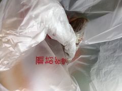 -金太粽(上海弄堂第一粽店)