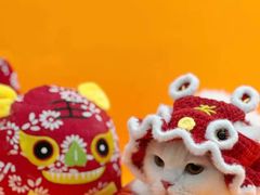-1013 PET SHOP精品宠物商店(丁香店)